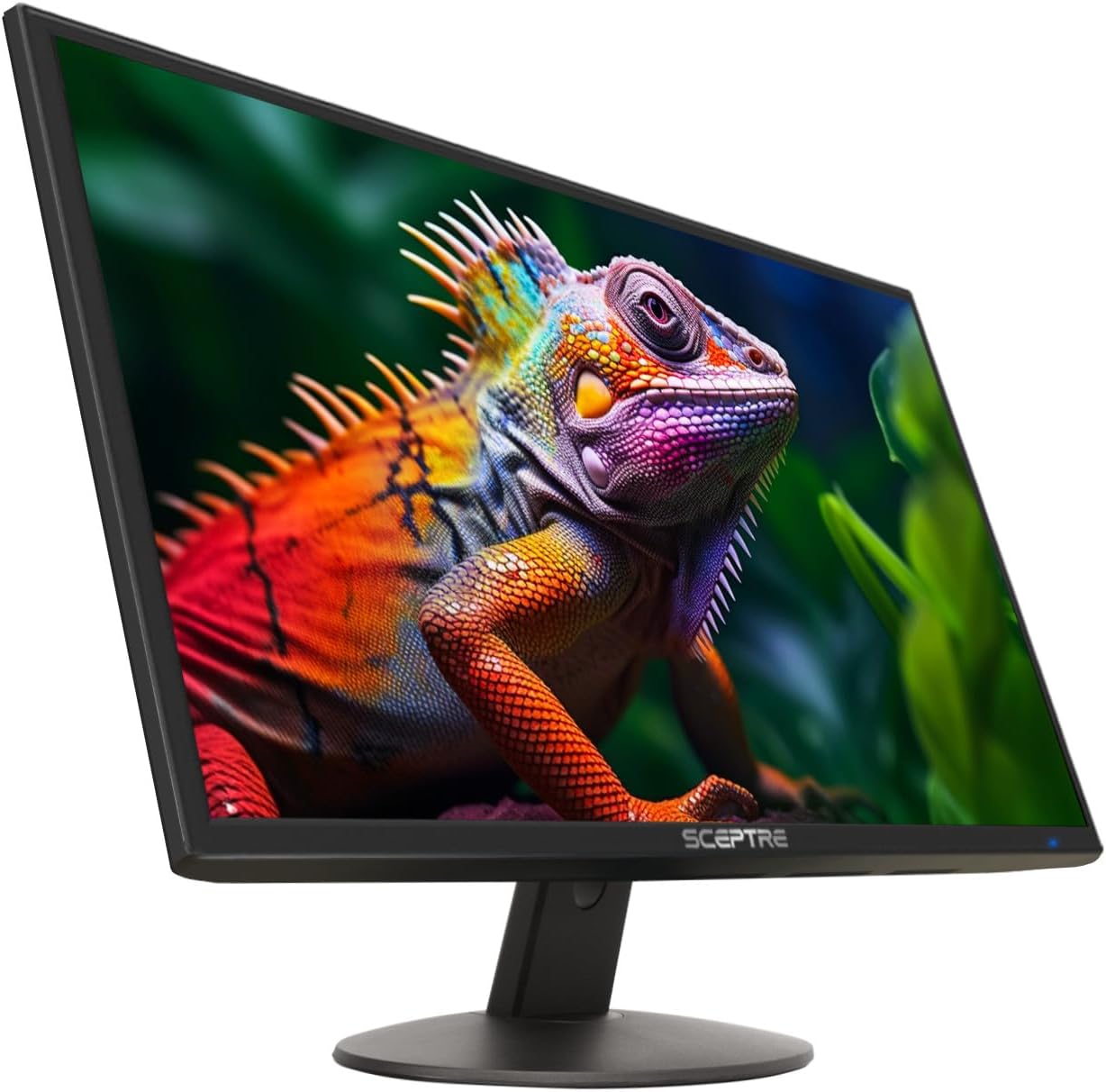 Sceptre 24-inch Professional Thin 1080p LED Monitor 99% sRGB 2x HDMI VGA Build-in Speakers, Machine Black (E248W-19203R Series) 