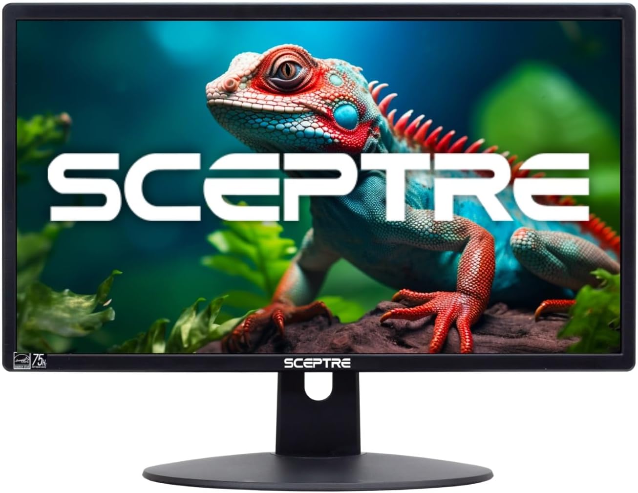 Sceptre 20" 1600x900 75Hz Ultra Thin LED Monitor 2x HDMI VGA Built-in Speakers, Machine Black Wide Viewing Angle 170° (Horizontal) / 160° (Vertical) +