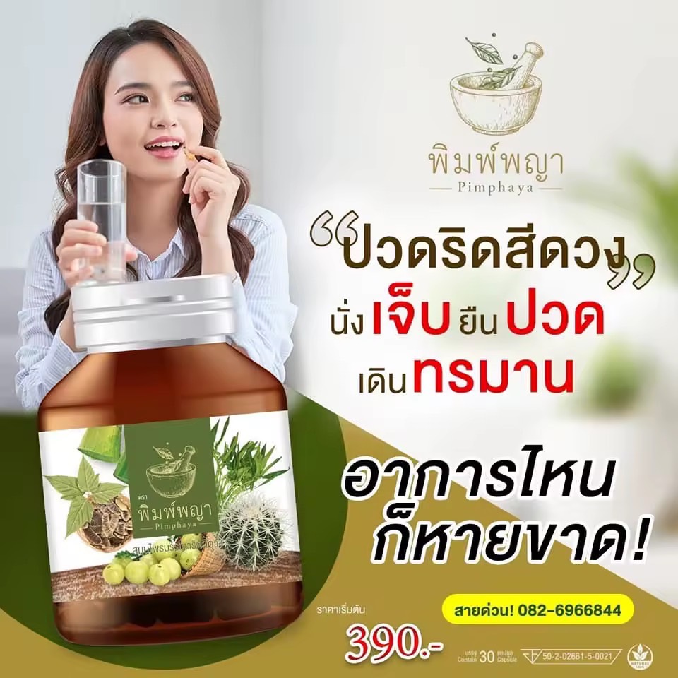 ริดสีดวง ริดสีดวงทวาร ติ่งโผล่ แก้ปัญหาริดสีดวงภายในและภายนอก พิมพ์พญา สมนไพรพิมพ์พญา 30เม็ด/1กระปุก ส่งฟรี