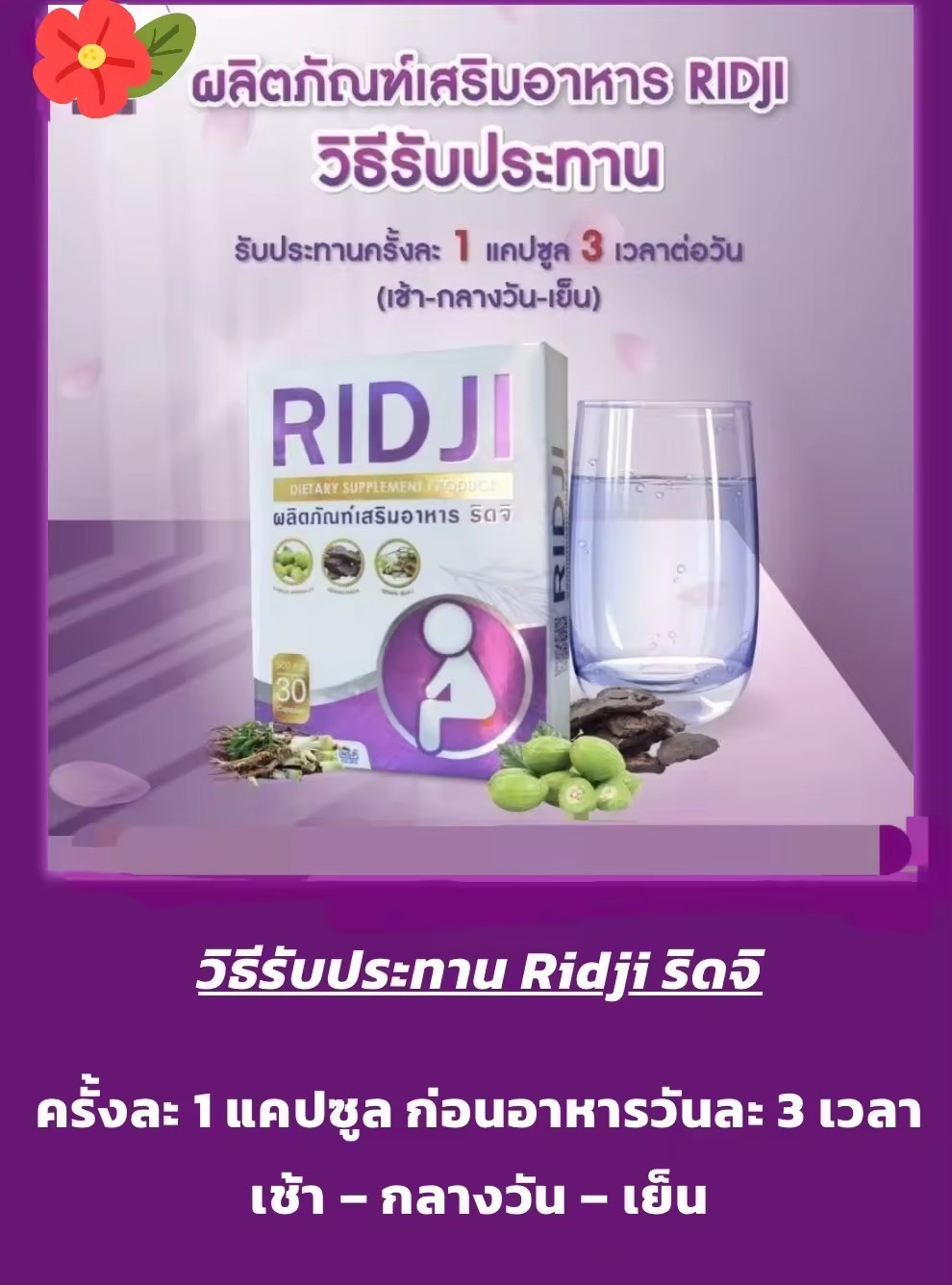 ริดซี่  ริดจิ   Ridji ดูแลริดสีดวงทวาร  Ridji เพื่อการขับถ่ายสะดวก(Hemorrhoids หรือ Piles) 