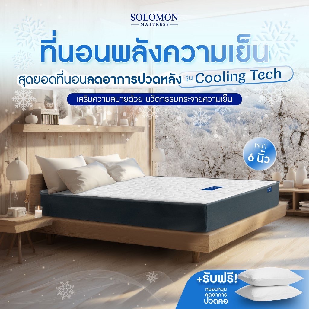 SOLOMON ที่นอนเย็นดูดวิญญาณ [ส่งฟรี] หนา4นิ้ว หนา6นิ้ว รุ่น Cooling Tech ที่นอนเย็น นุ่มแน่น แถมประกัน 10 ปี