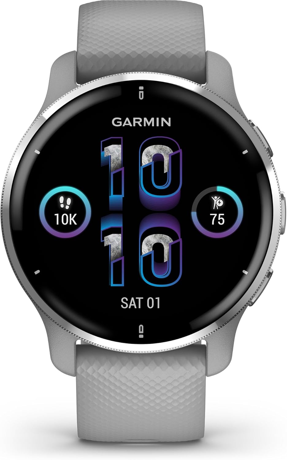 Garmin Venu 2 Plus, GPS Smartwatch with Call and Text, Advanced Health Monitoring and Fitness Features, Silver with Gray Band 