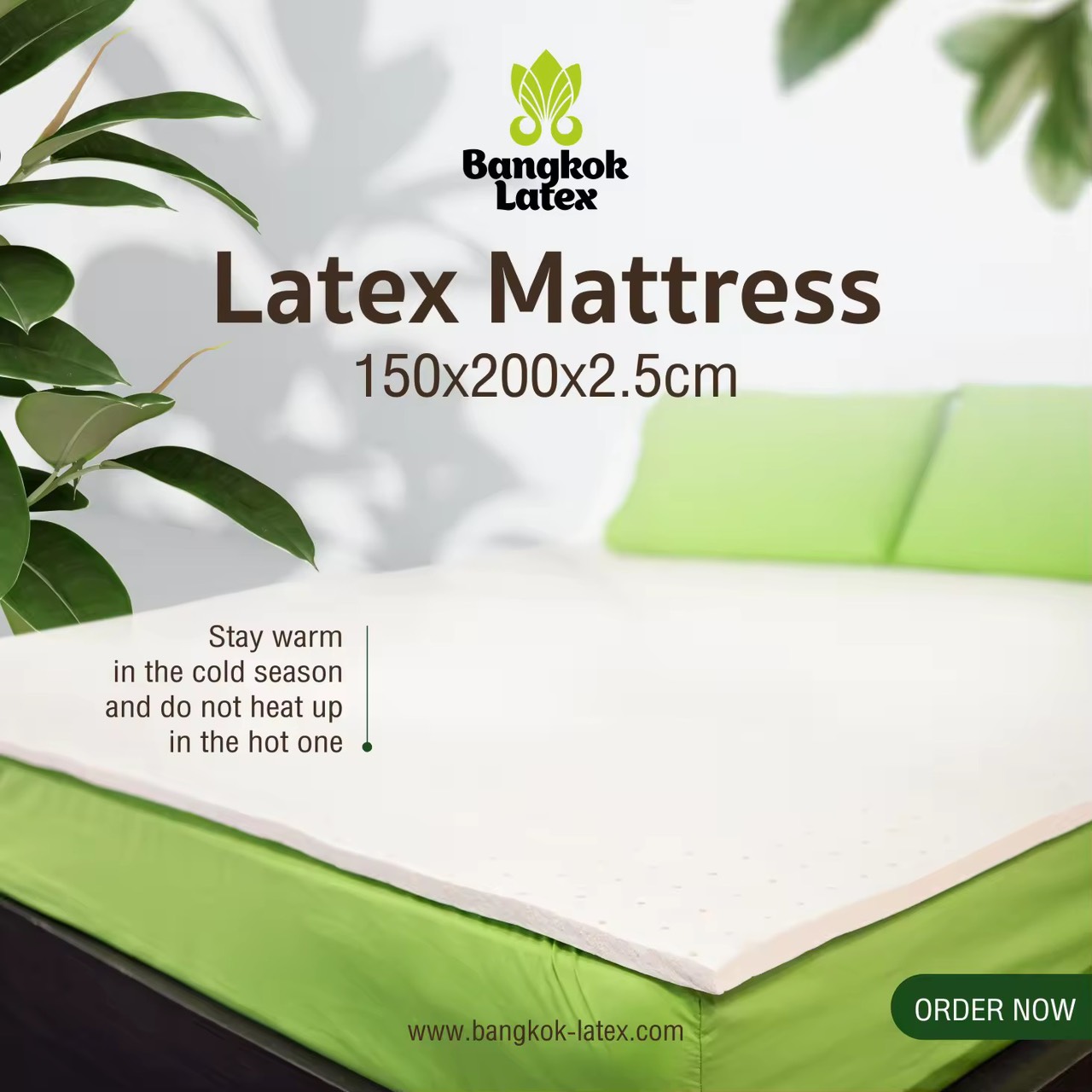 Bangkok Latex ท็อปเปอร์ ยางพาราแท้ - 5 ฟุต | 150x200 ซม. | แก้ปวดหลัง