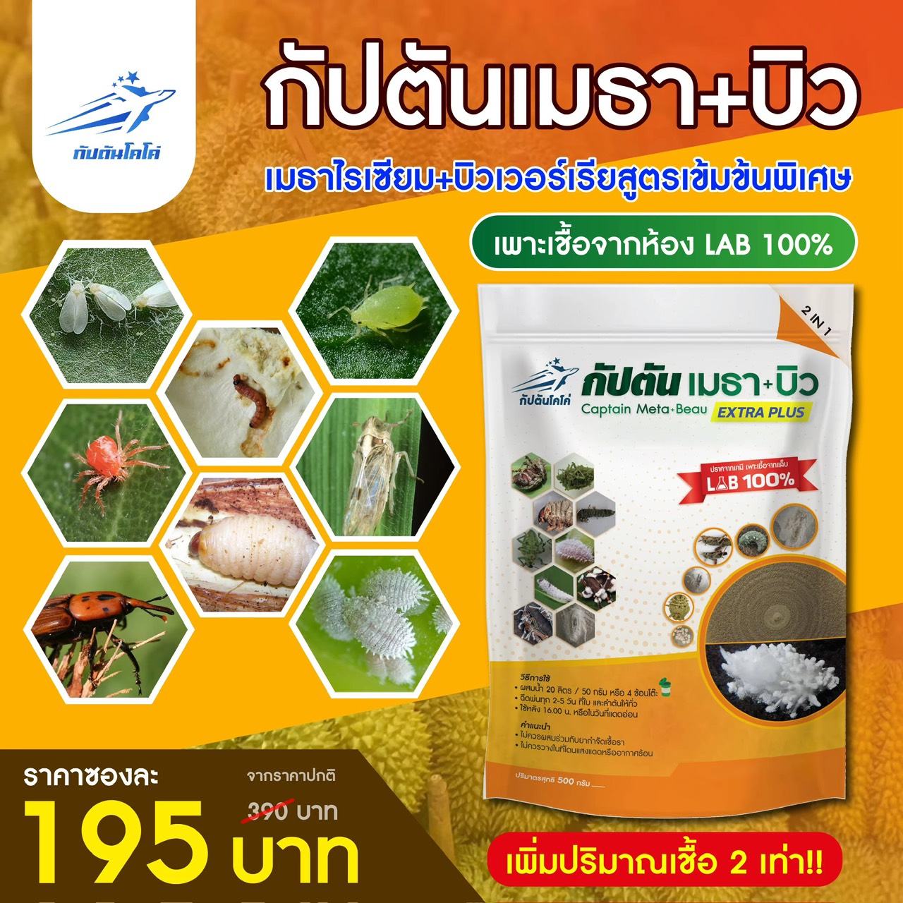 กัปตันเมธาบิว สูตรเข้มข้น เชื้อ 2 เท่า เชื้อราบิวเวอร์เรีย + เชื้อราเมธาไรเซียม แบบผง(500กรัม)  ปลอดภัย 100 %