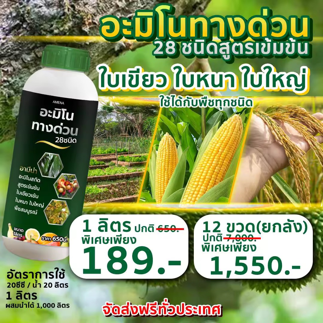 ปุ๋ยน้ำ อามีน่า อะมิโนทางด่วน 28ชนิด เร่งโต ใบเขียว ใบใหญ่  ช่วยเร่งการเจริญเติบโต ช่วยให้พืชแข็งแรง ขนาด 1 ลิตร