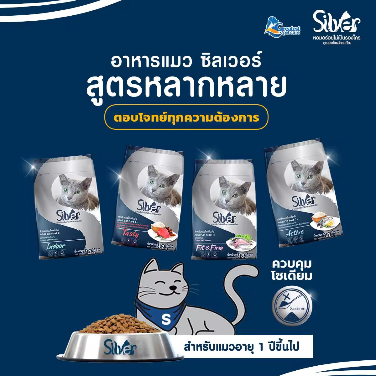 แคมเปญพร้อมเปย์ SILVER อาหารแมว ทุกรสชาติ ขนาด 20 kg (1 kg x 20 ถุง)  แพ็คย่อยจากบริษัท