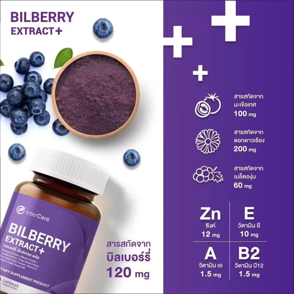 InterCare Bilberry extract plus สกัดจาก บิลเบอร์รี่และลูทีน บำรุงสายตา ( 1 กระปุก 30 แคปซูล )