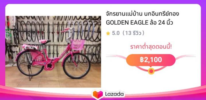 จักรยานแม่บ้าน นกอินทรีย์ทอง GOLDEN EAGLE ล้อ 24 นิ้ว