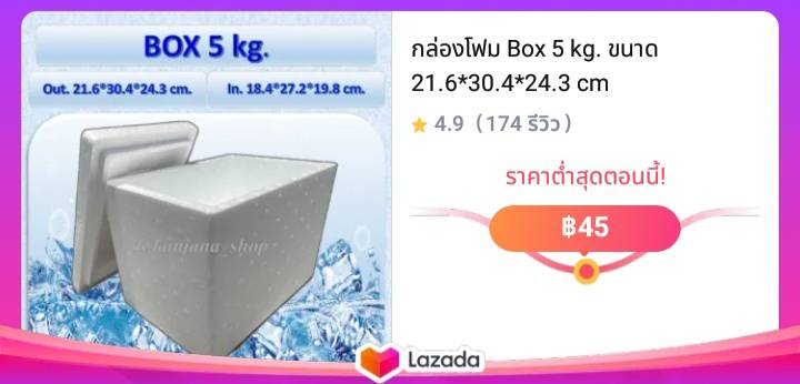 กล่องโฟม Box 5 kg. ขนาด 21.6*30.4*24.3 cm