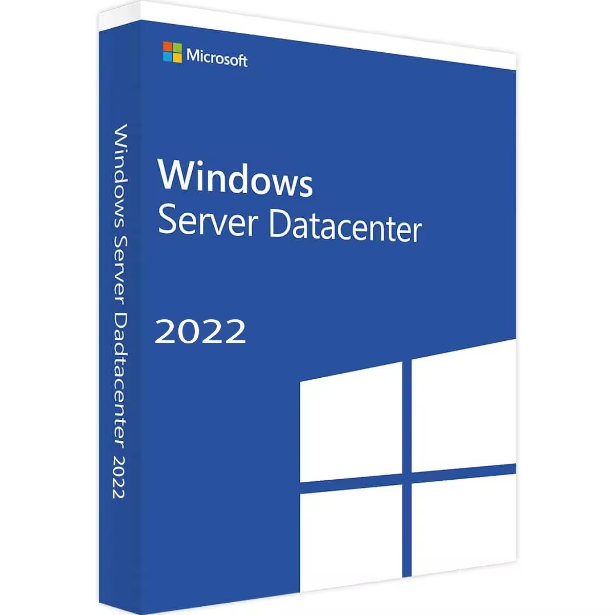 Windows Server 2022 Enterprise (License)